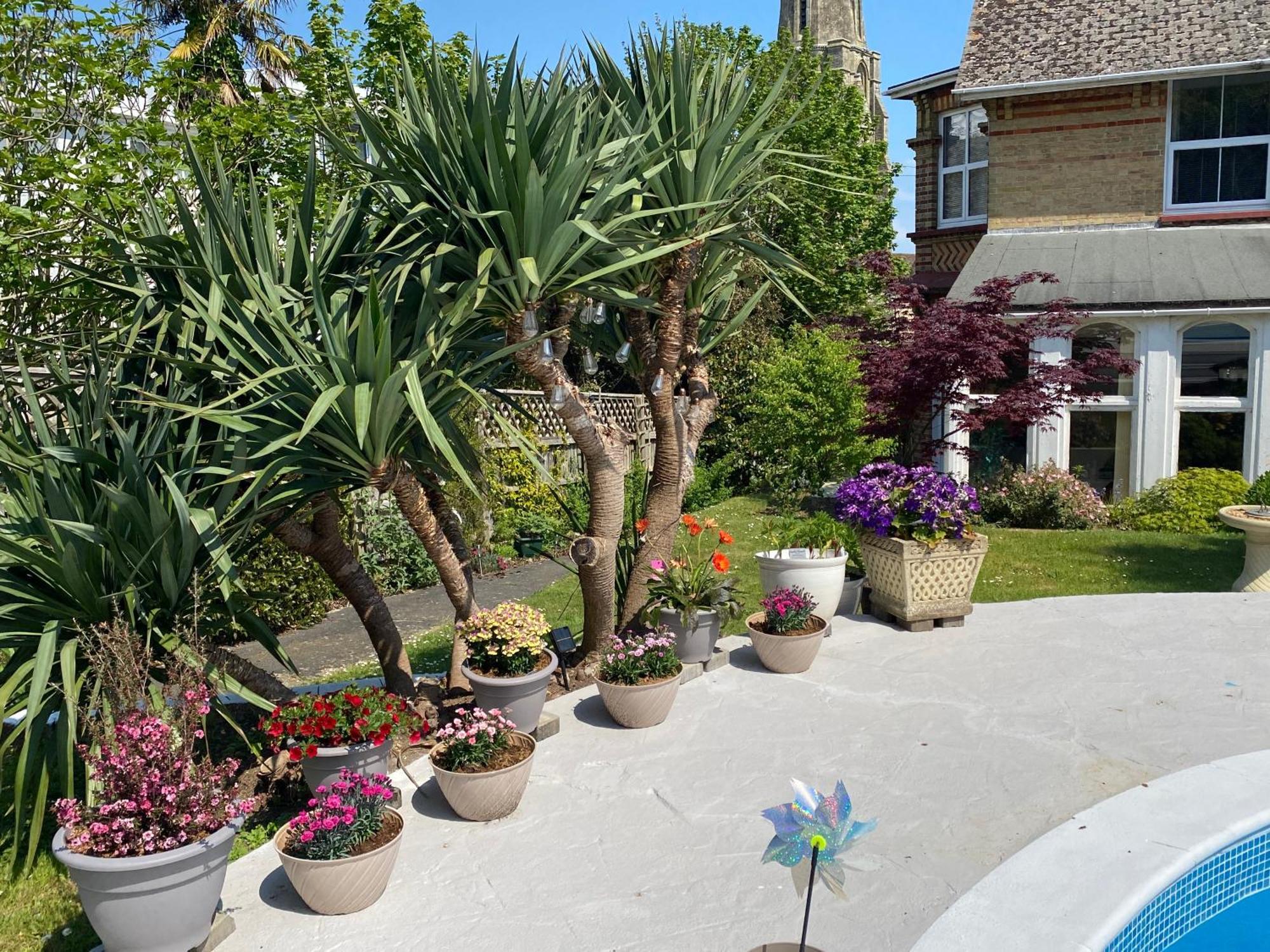 Hotel The Belmont Shanklin Exterior foto